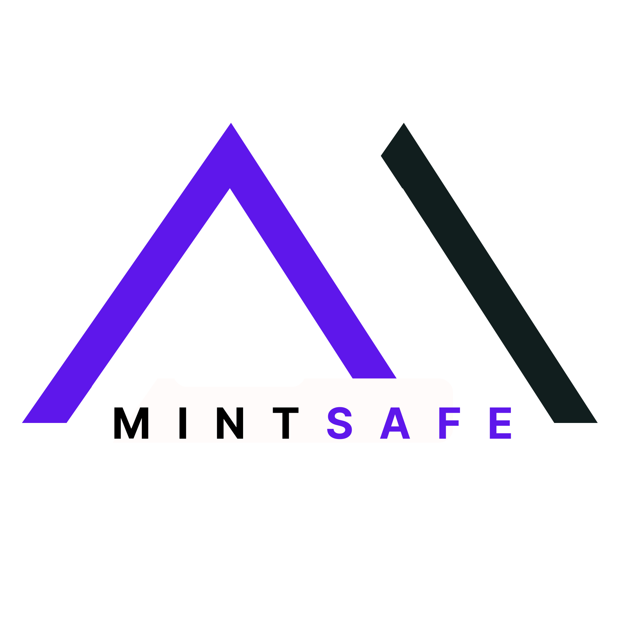 Mintnex AG